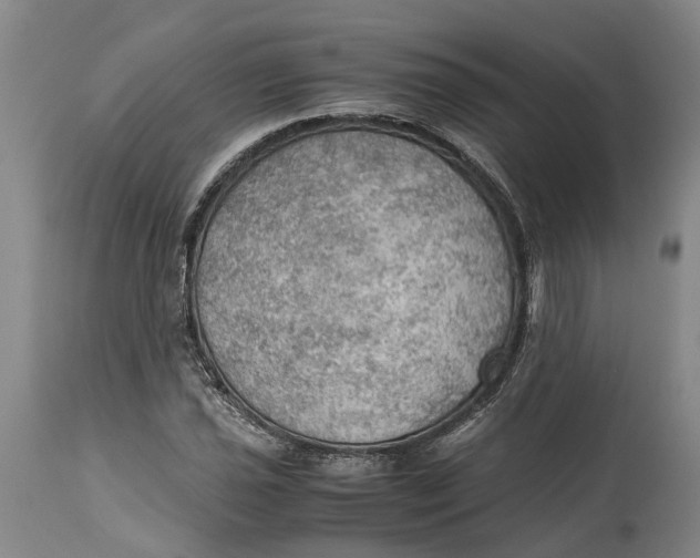 X0000115101021200911171236