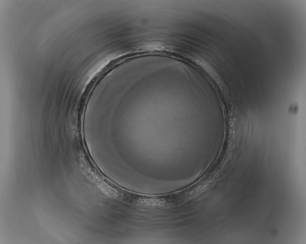 X0000115101023200911171236