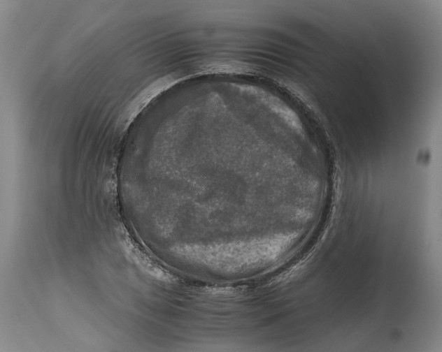 X0000115101025200911171236