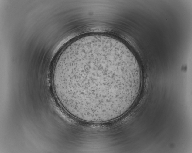 X0000115101026200911171236