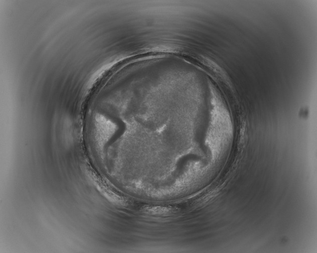 X0000115101027200911171236