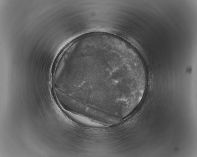 X0000115101028200911171236