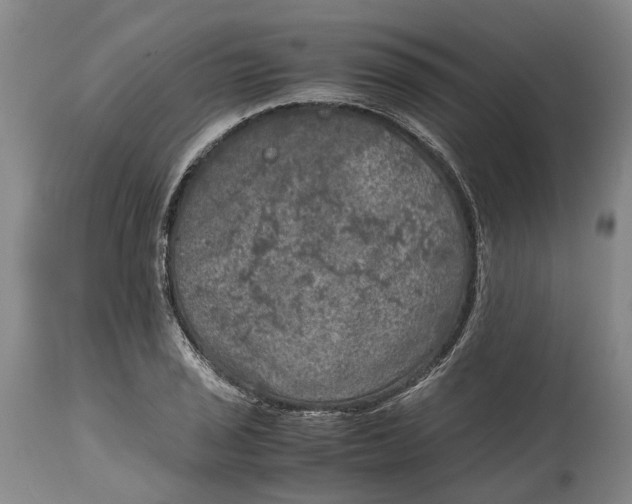 X0000115101029200911171236