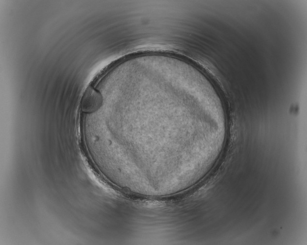 X0000115101030200911171236