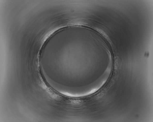 X0000115101031200911171236