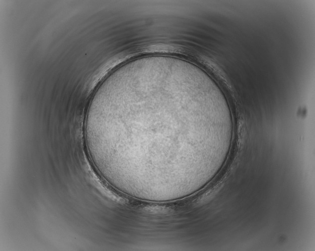 X0000115101033200911171236