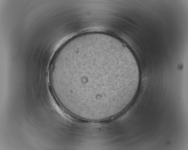 X0000115101034200911171236