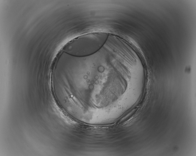 X0000115101035200911171236