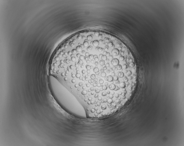 X0000115101036200911171236