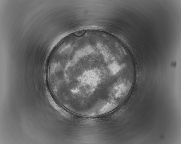 X0000115101038200911171236