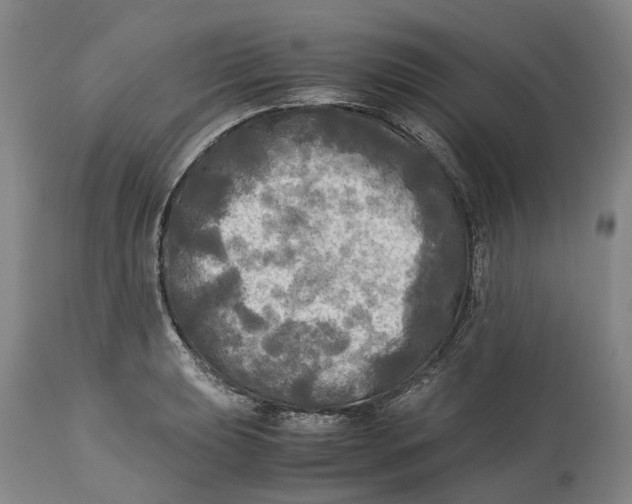 X0000115101039200911171236