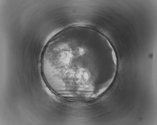 X0000115101042200911171236