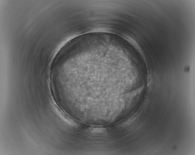 X0000115101043200911171236