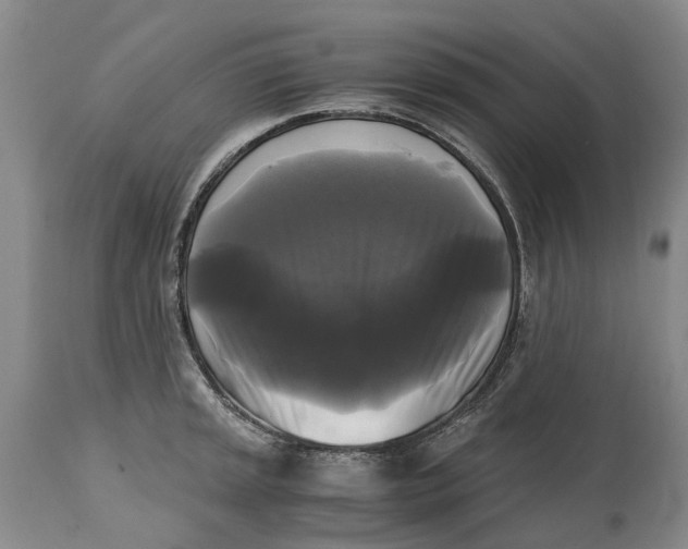 X0000115101045200911171236