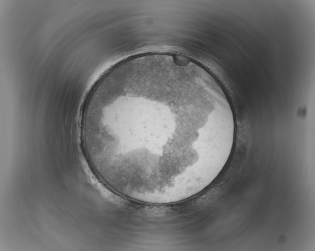 X0000115101046200911171236