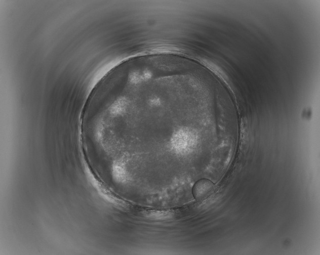 X0000115101047200911171236