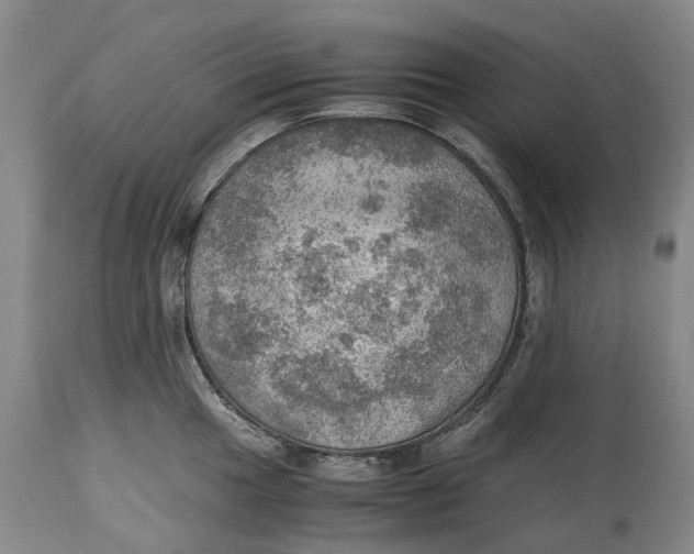 X0000115101049200911171236