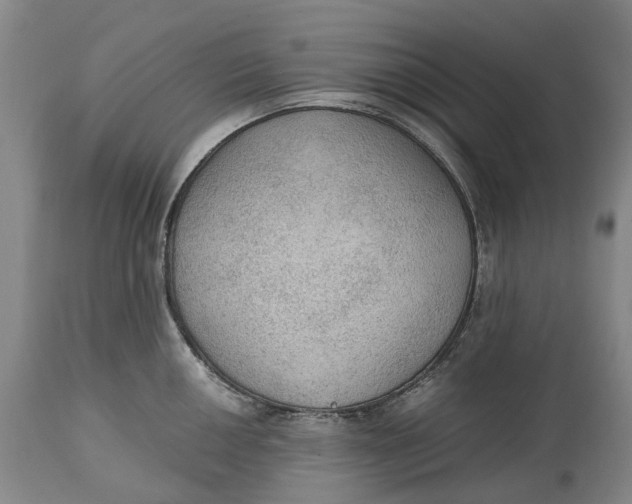 X0000115101050200911171236