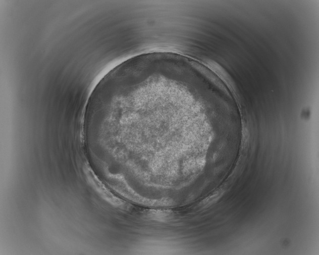 X0000115101052200911171236