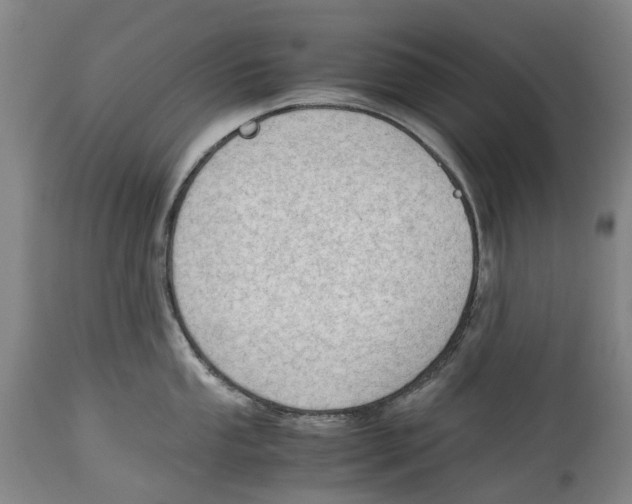 X0000115101053200911171236