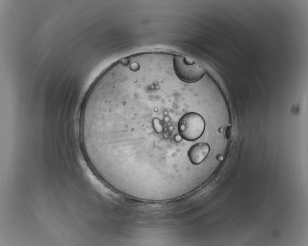 X0000115101054200911171236