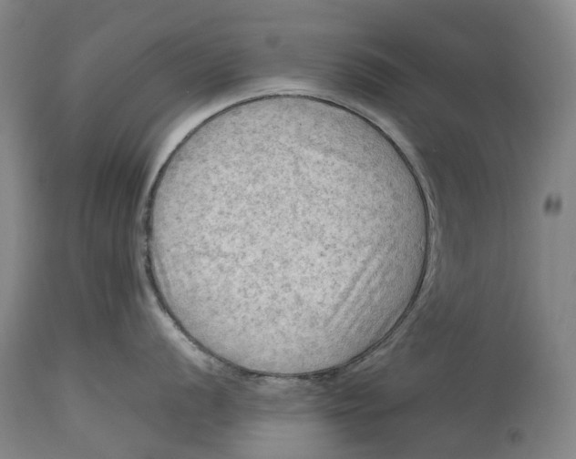 X0000115101056200911171236