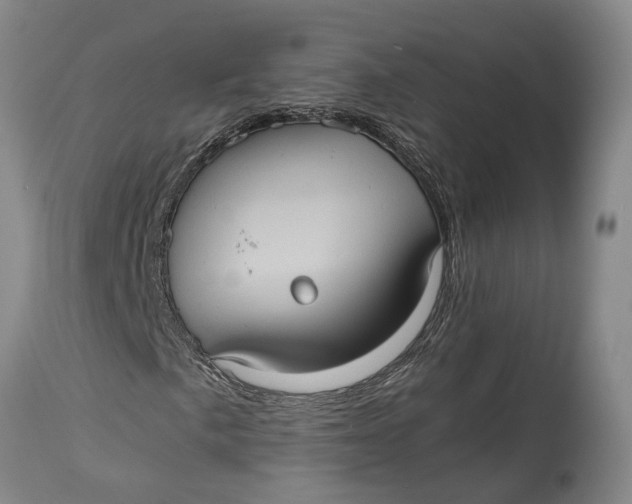 X0000115101057200911171235