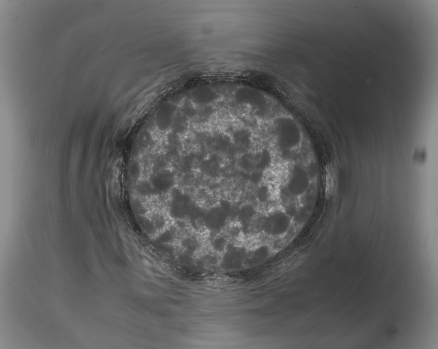 X0000115101059200911171235