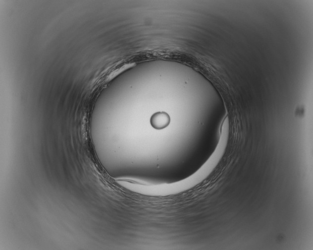 X0000115101060200911171235