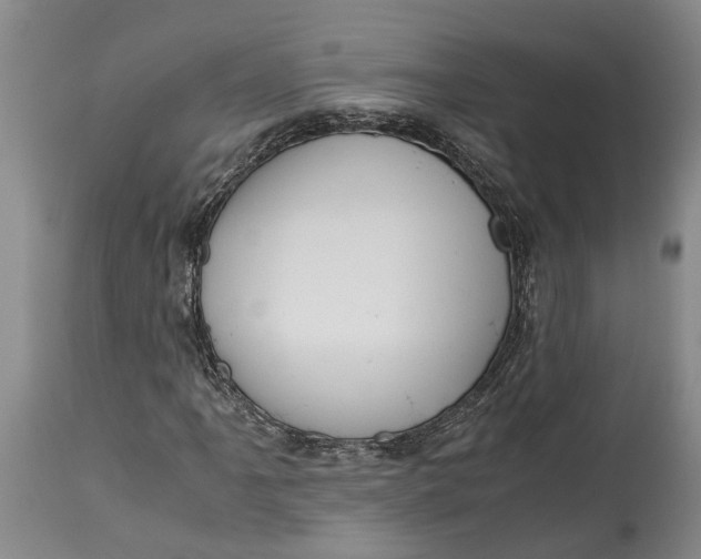 X0000115101061200911171235