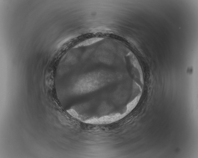 X0000115101063200911171235