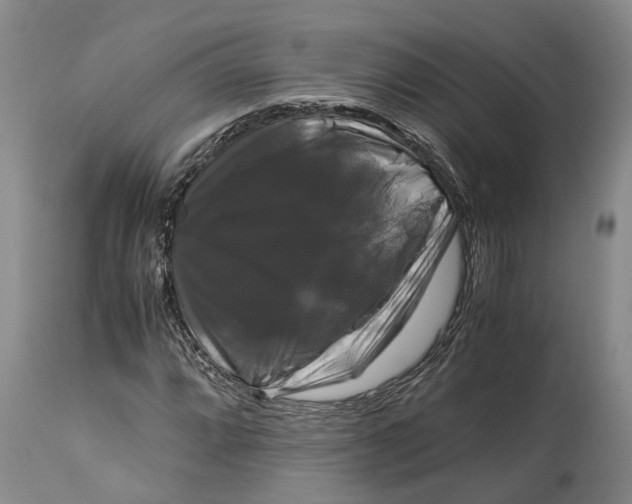 X0000115101064200911171235