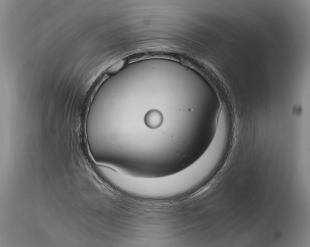 X0000115101065200911171235