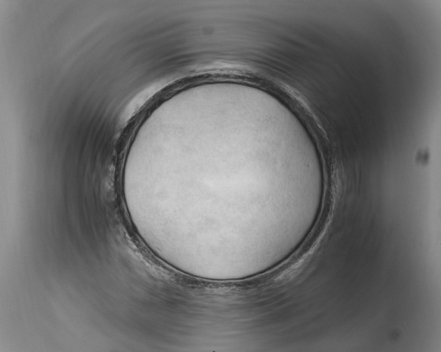 X0000115101066200911171235