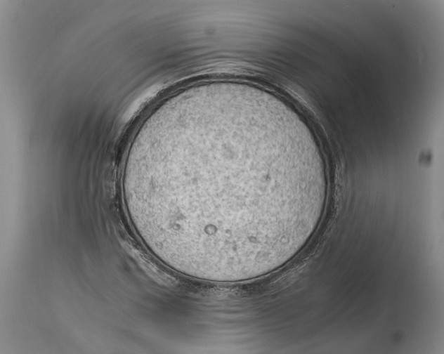 X0000115101067200911171235