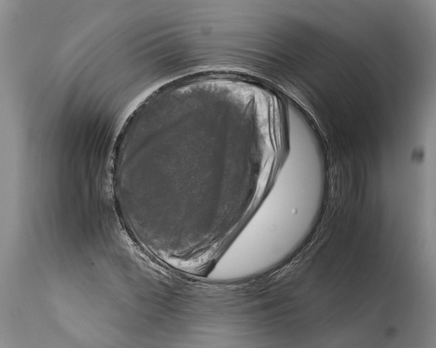 X0000115101068200911171235