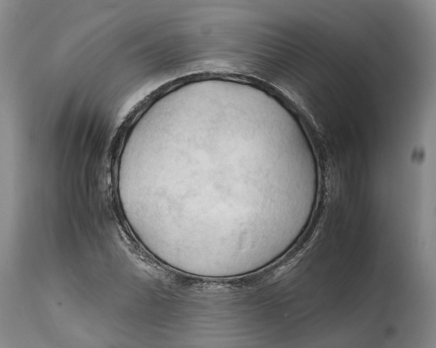 X0000115101070200911171235