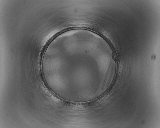 X0000115101071200911171235