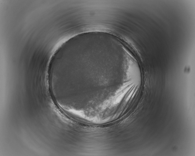 X0000115101072200911171235