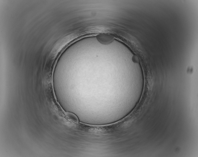 X0000115101073200911171235