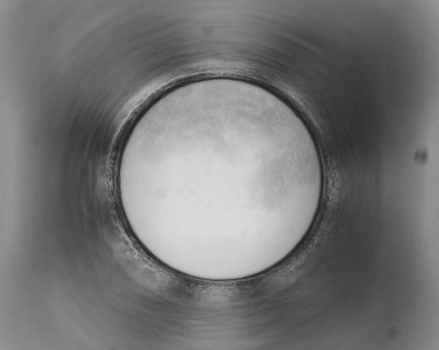 X0000115101074200911171235