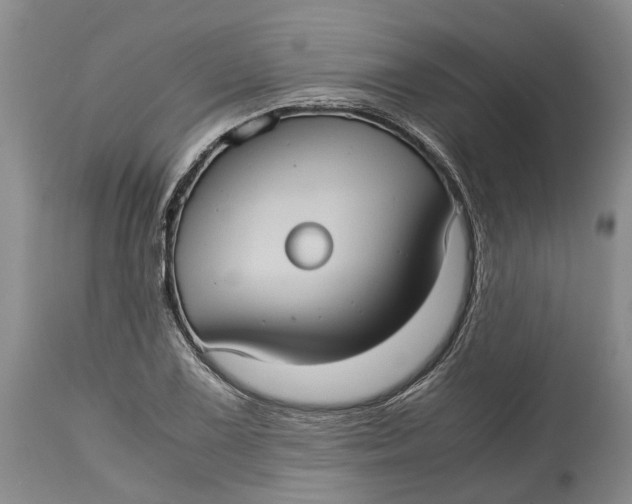 X0000115101075200911171235