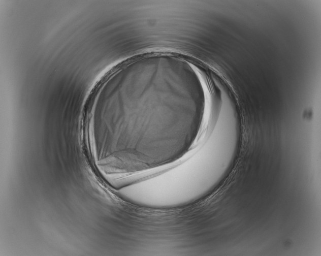 X0000115101076200911171235