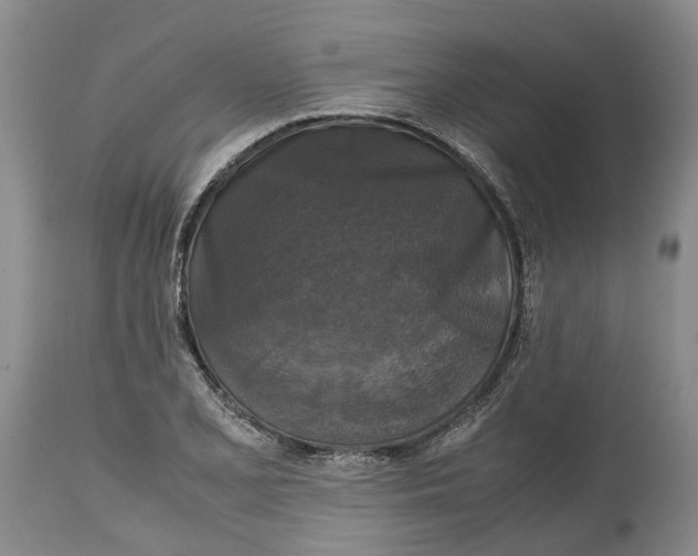 X0000115101077200911171235