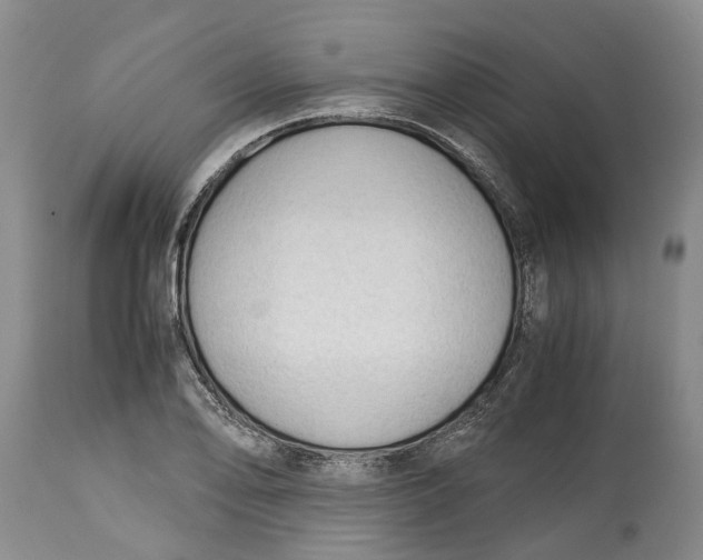 X0000115101078200911171235