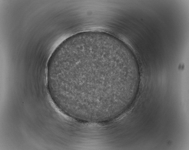 X0000115101079200911171235