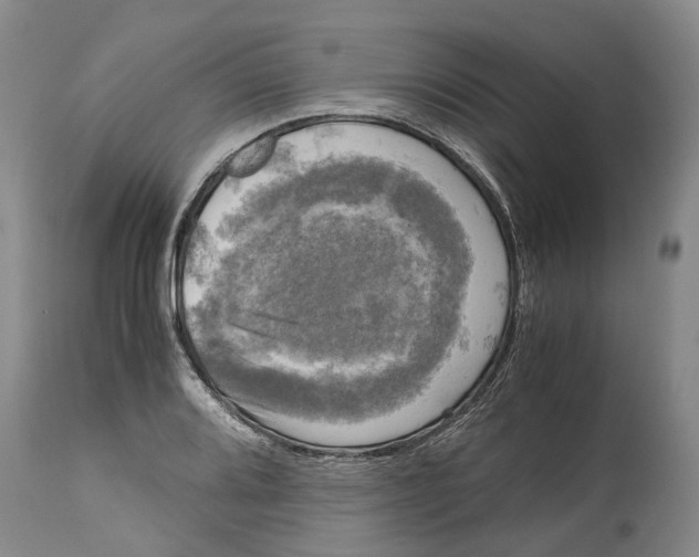 X0000115101080200911171235