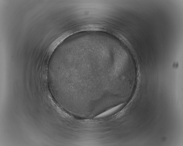 X0000115101081200911171235