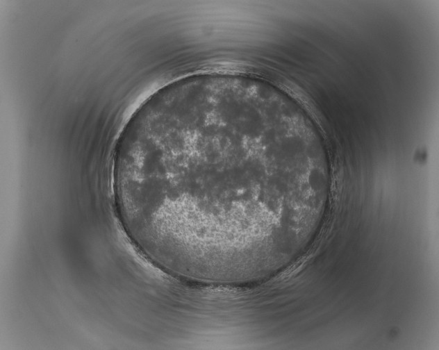 X0000115101083200911171235