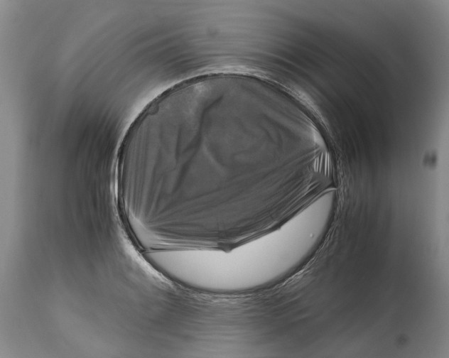 X0000115101084200911171235